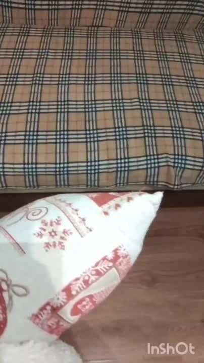 �������� �� ������. ���������� ��� ������� ���� ���������� ����������, ��� �����. �������� ������ ��������� � ���� �����������. ����� ��� #���������