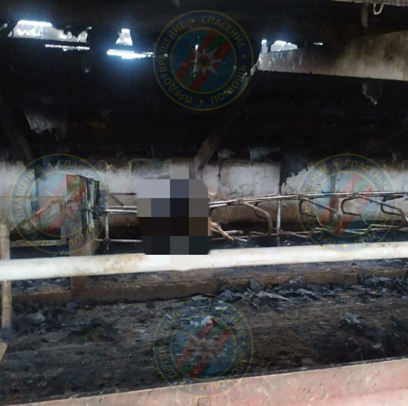 �� �� ����� � ���� ��������