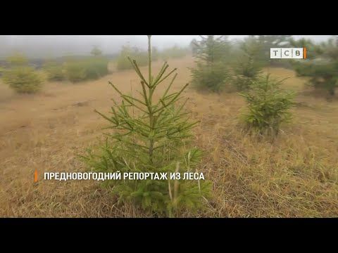 ������� ��� ������� ������� ������ ������ ����� � ���. �� ���������� ���������� ���������� � ��� ������� ������ ����������. � ��� ��� �������� �� ����������� �����������