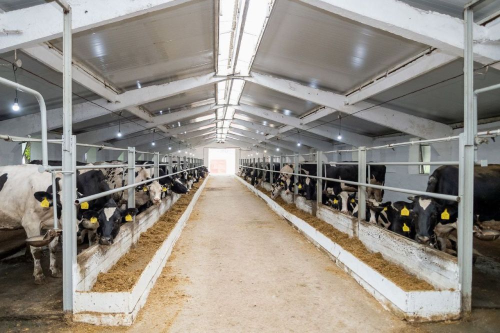 � ��������������� ���� �������� ������ �������� � ����� ������� �������� � ����� �����