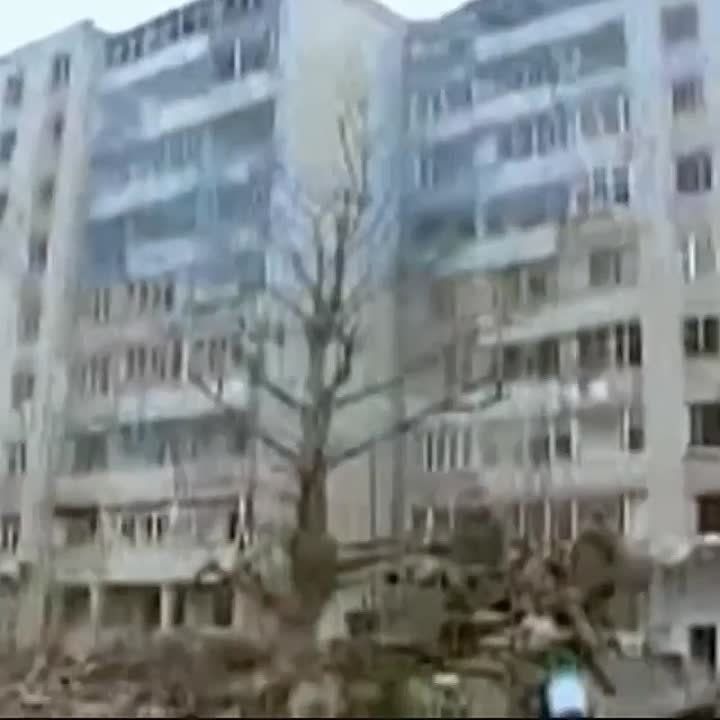 ����� �������� �������� �����������, ��������� 20 ��� ����� �� ����� ��������� ��������, ���������� � �������: