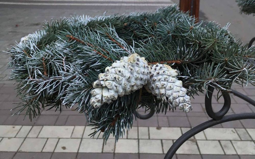 ����� � �������� ���. � ������ ������ ���������� ������������� �������� ��� �������� ����������� ��� �������� � ���������, ����� �����������������