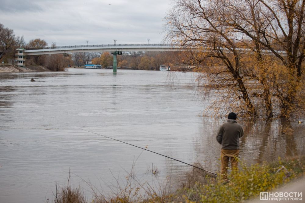 � 19 �� 20 ������� ������� ���� � ������� ���������