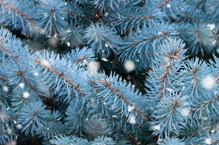 � ���������� ���������� ���������� ��� ����������: