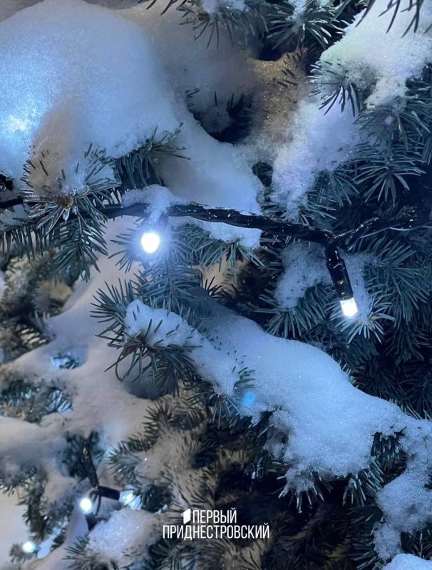 ���� � ��� ����� ��������� ������� ������� ���� ������ ����, ����� ������ �, ����������: