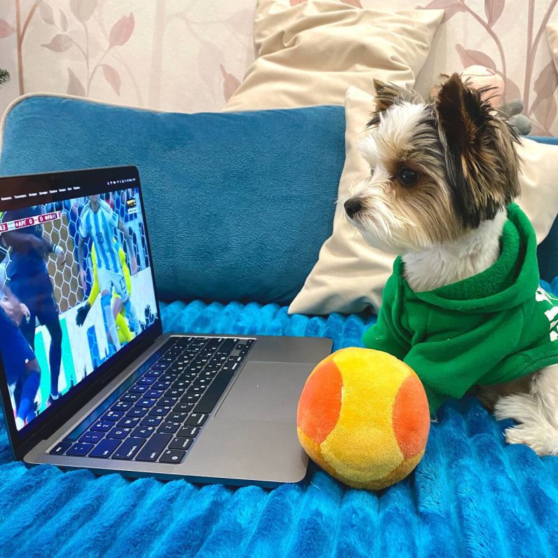 ����� � �������� �����. ������� ��� ��� �������������� ����� �� 15 �����. � ���� � ��� �� ����� ����������, �� ��� ��� ����� ��������