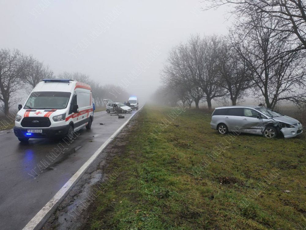 ������ �� ������ ����� ����� ������� � ��������