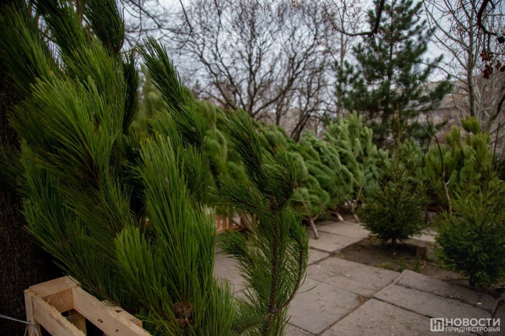 �� ���� ������ � ������������� ��������� ������� ������