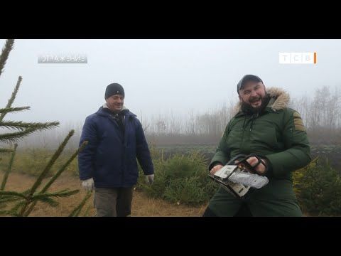 ����������� ������������ �������������. ��� ���������� ���������� ���� � ����� � �������������