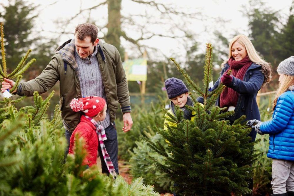 � ����������� ��� �� ���������� ���������� ������ ���������� ������� ������