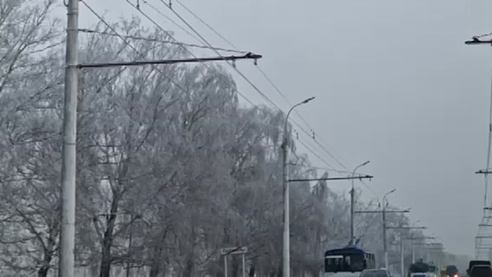 ����� �������� ������������ ������� ������ �� ������������� ��������