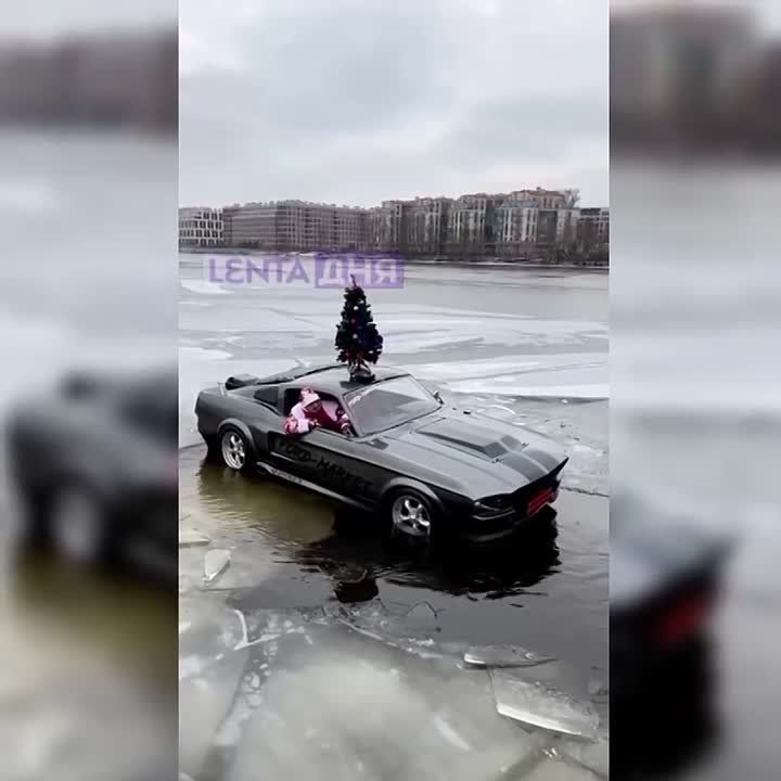 � ���� ������ �������� ����� �� ����