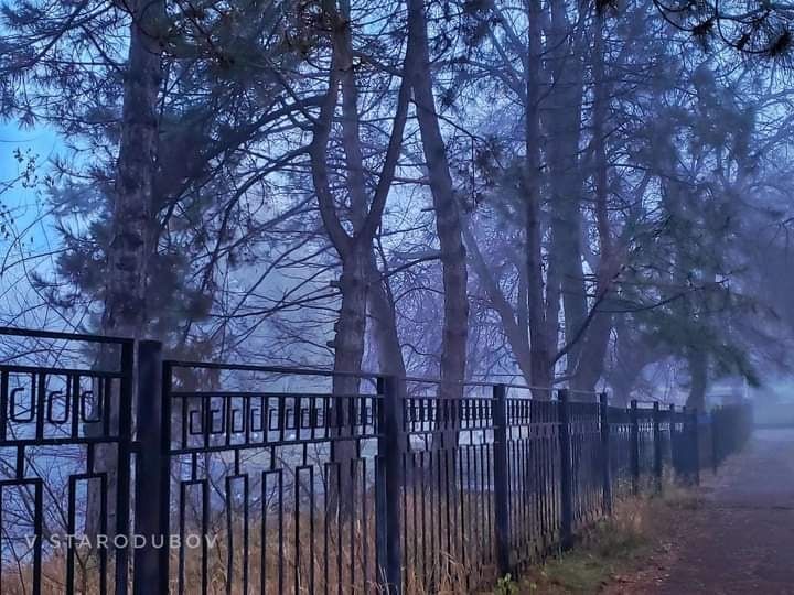 ������������ �������. ����. �����. �����