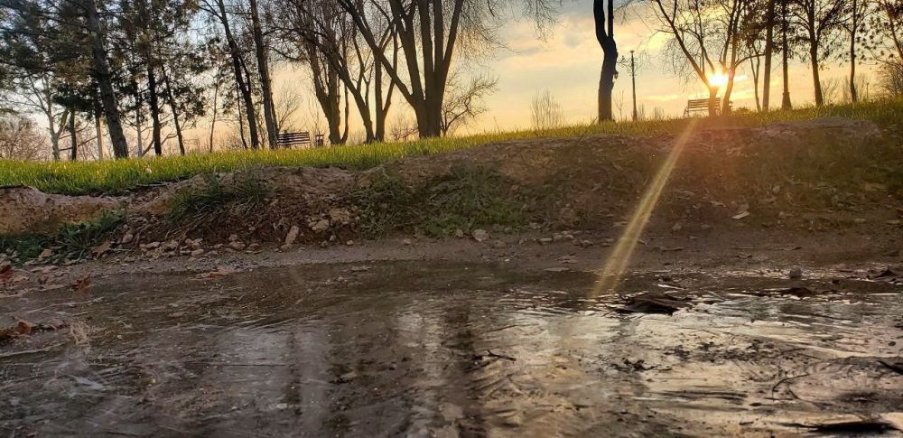 ������ ������ �������� ������� ������� ������