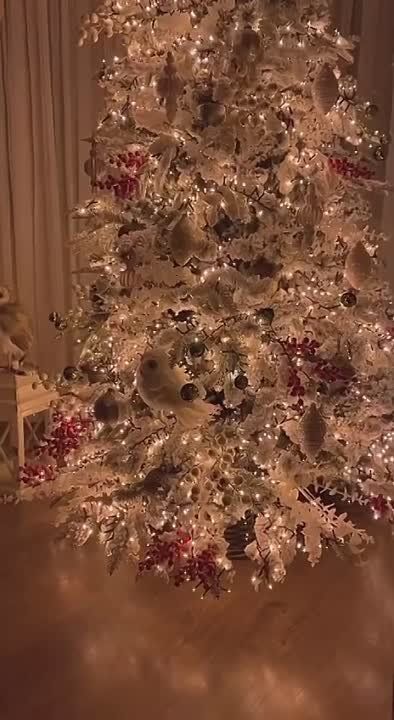 ��������� ����, ��� �� ���������