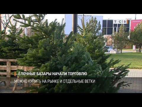 ������� � ��������� ������ �������� ������� ������. ���� �� �������, �� � ����� ������ �������� � ������ ������ ������. �� ��������� � ������� ����� ���� �� ���� �������� � ������� �� 10 %