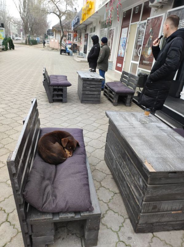 �������� ������. ������ ���� �� �������� ����� ��� �����, �������� ���������, �� ���������. �� ������� � � ��������� � �������. ������ ��� ��� ���� - ������. �� �������, ��� � �� �����