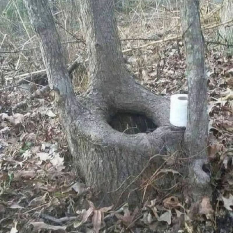 ��� �������� ������ �������������� �� �������