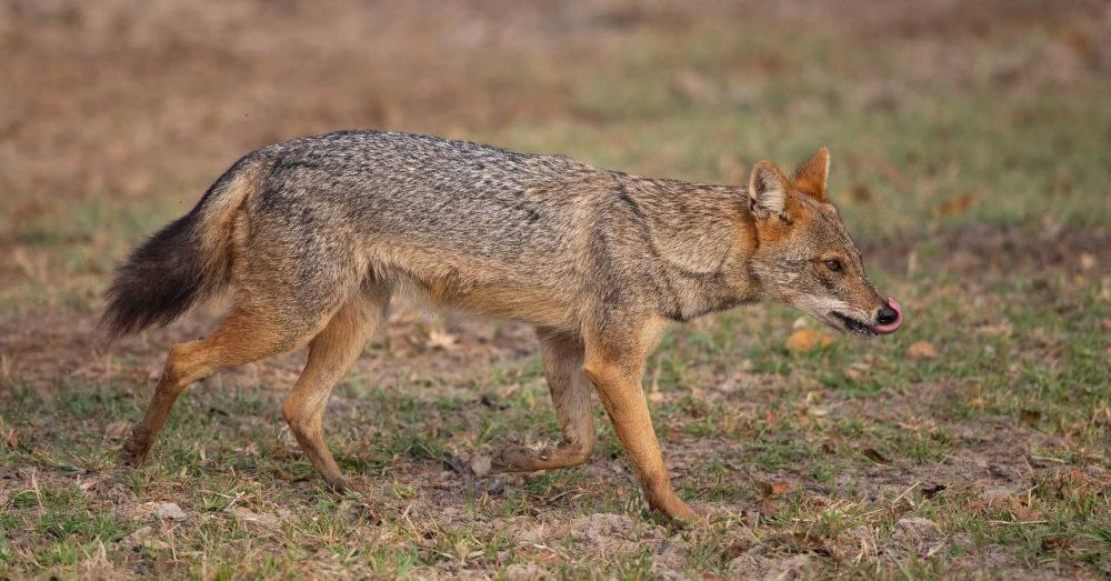 � ������� ����� ��������� ����������