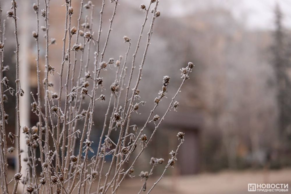 �� ����� ������� ����, ������������ �����������