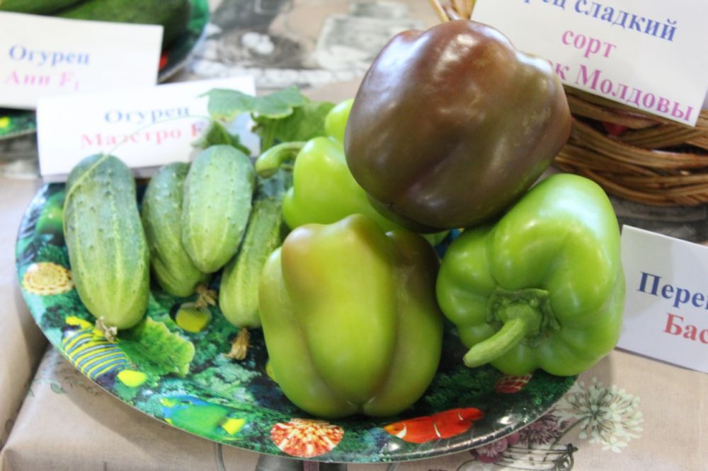 ����� ����� � ������� ��������������� �������������