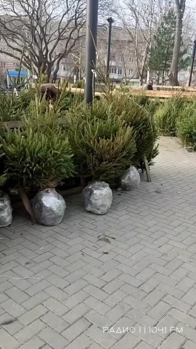 ������ ������ ��������� ����� ������ � ������ ���������!