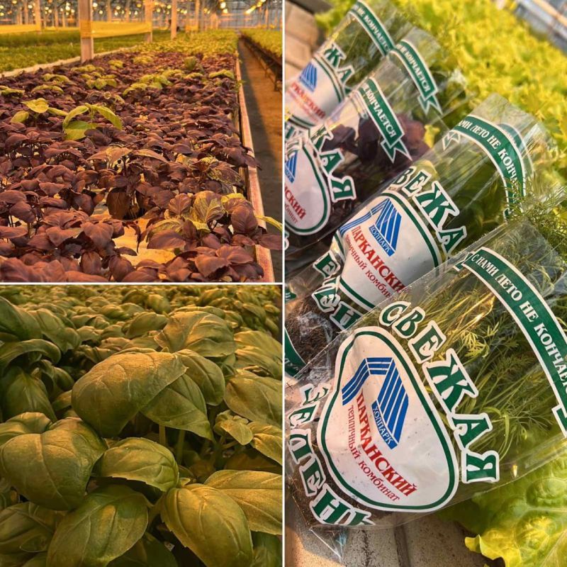 � �������� ���������� �������: ������ � ���������� �������� ��� ������ � �����, � ������� � ����������� ����� ��� � ����