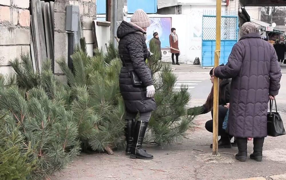 ������, ���� ���� �������� � ���������� �����������, ���� �������� ����