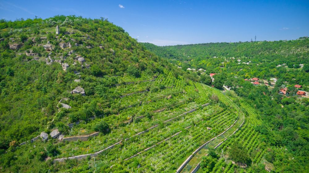 ������ ���� ����� � �������������, � ����� ����� ���������, ��� ������� �� ���������� �� ����������� ������� � ���������