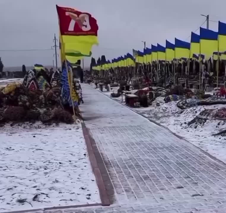 79-� ����� ���, ������ ���