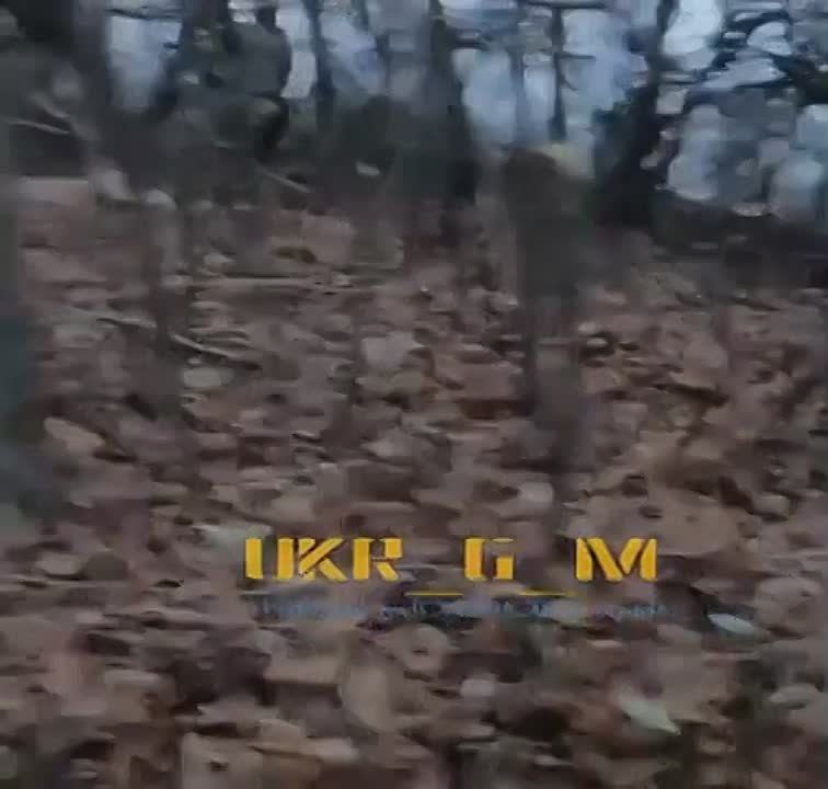 ������ ��������� ������ ��� ����� ��� �� ���������� �����������