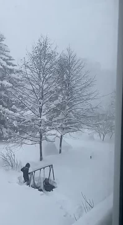 ����� � ������. � ��� �� ������������� �����?