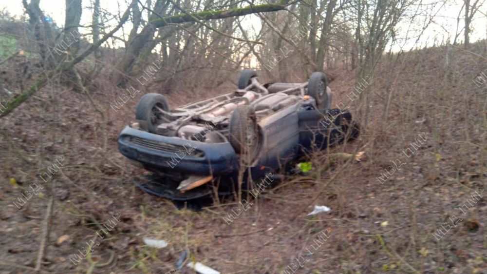 ������ ������������� �� ������ � ��������