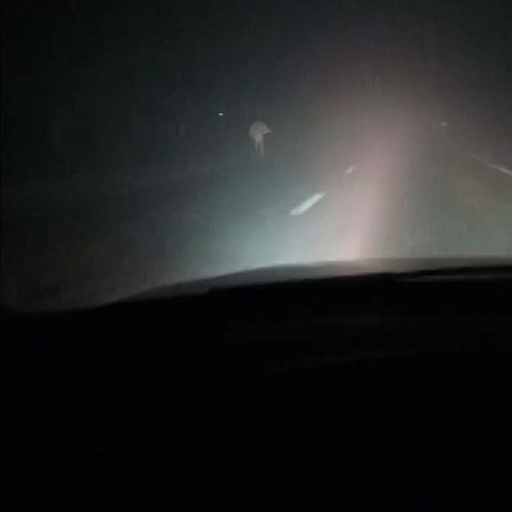 ����� ������� �� ������ �������������� ��������