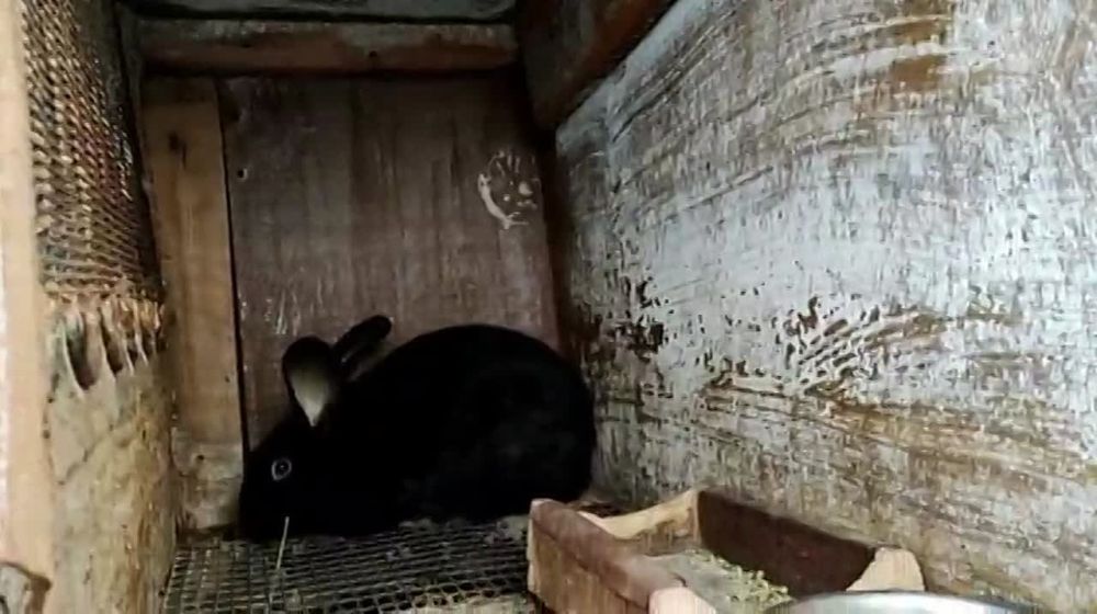 ��� ������� ��������� ���� � ����� �����