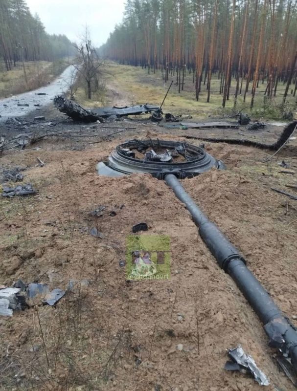 ������� ���� ������ �� �����������