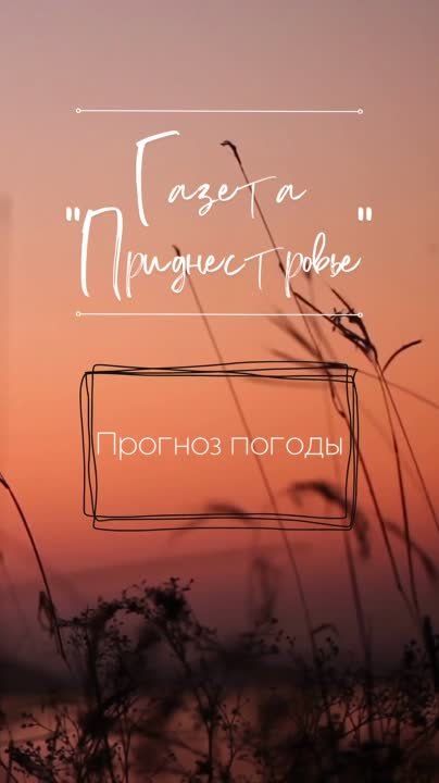 23 ������� ��������� �������� ������, ��� �������