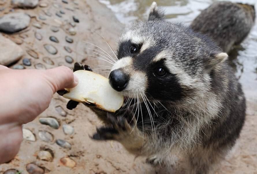 ������ � �������������� ����� ����� ����� ��� � �������� ���������