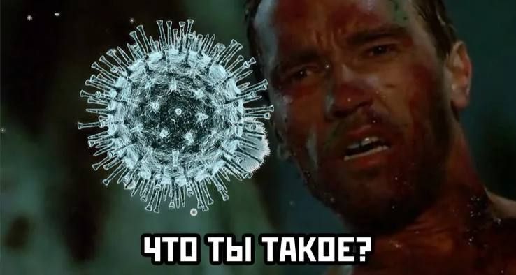 � ����� ������ ����: �� ������ 20 ���� ������� ������� ���������� 248 ��������� �������