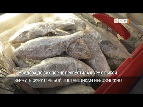 ������� ���������� ���������� ���� � ������� ����� ��� �������������. �� ����������� ������ ���� �������� ���������� �������...