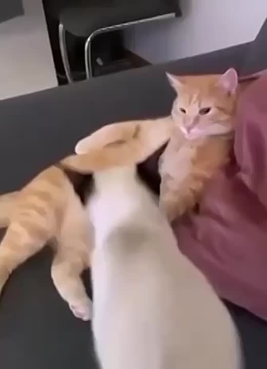 ������� ��������� ������� � ��� �������� �������� ����������� � �������