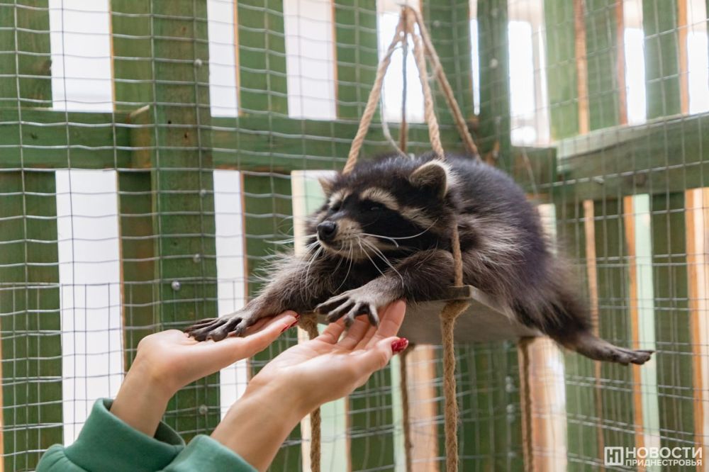 ���������� ������� ������ ������� � �������������� ����� �� ���������� ���������