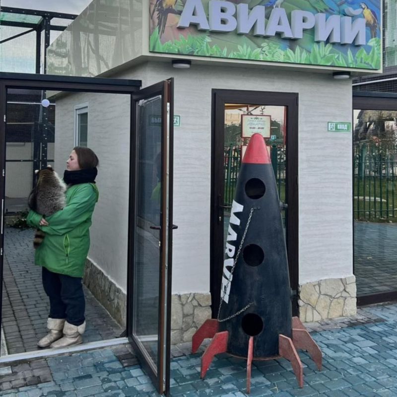 � ������������� ��������� ����������� ������ � ������ ������� ������ �� ����������� ������