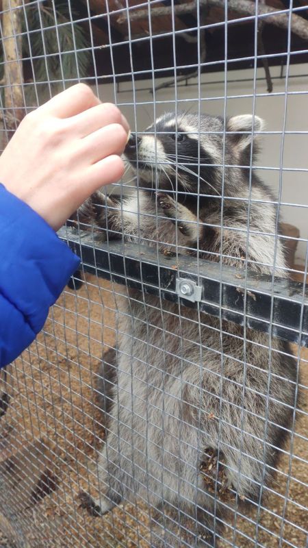 ������� ���������� �������� ����������� �������� � �������������� �����