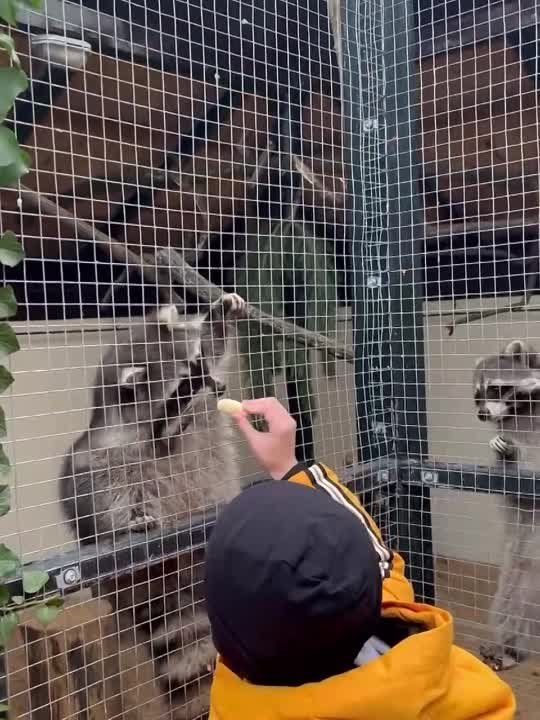 �������� ����� ����� � ������, � �� ��������