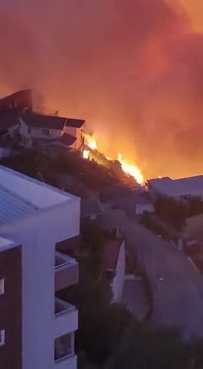 � ���� ������ ������ ������ ��� �� �����