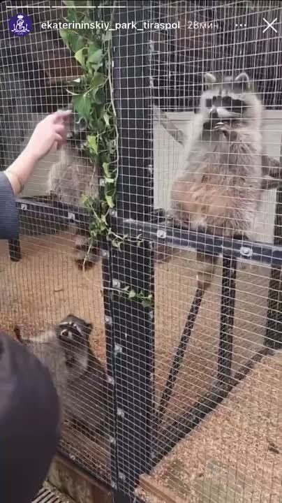 � �������������� ����� ������� ���������� �������