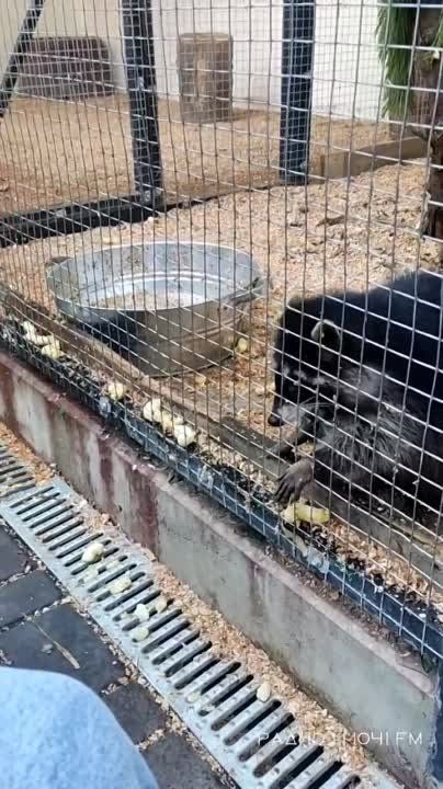 ���������� ������� � ������ �������