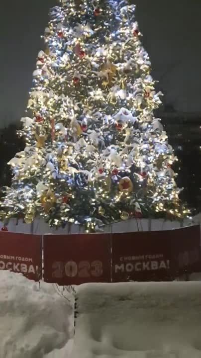 ��/�����.