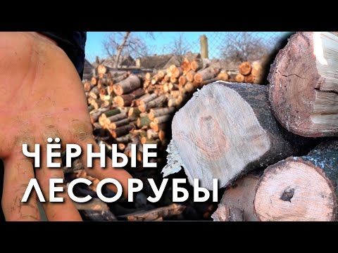 � �������� ���������� ��������� ������� ��������� �������� �����. �� ���� ������� ��������� ����� ������������, ���������� � ����� ����� � ����������